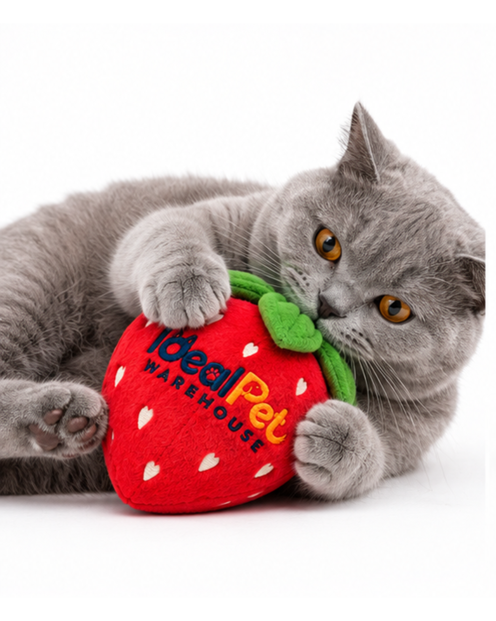 Gray cat lying down and hugging the red strawberry catnip plush toy