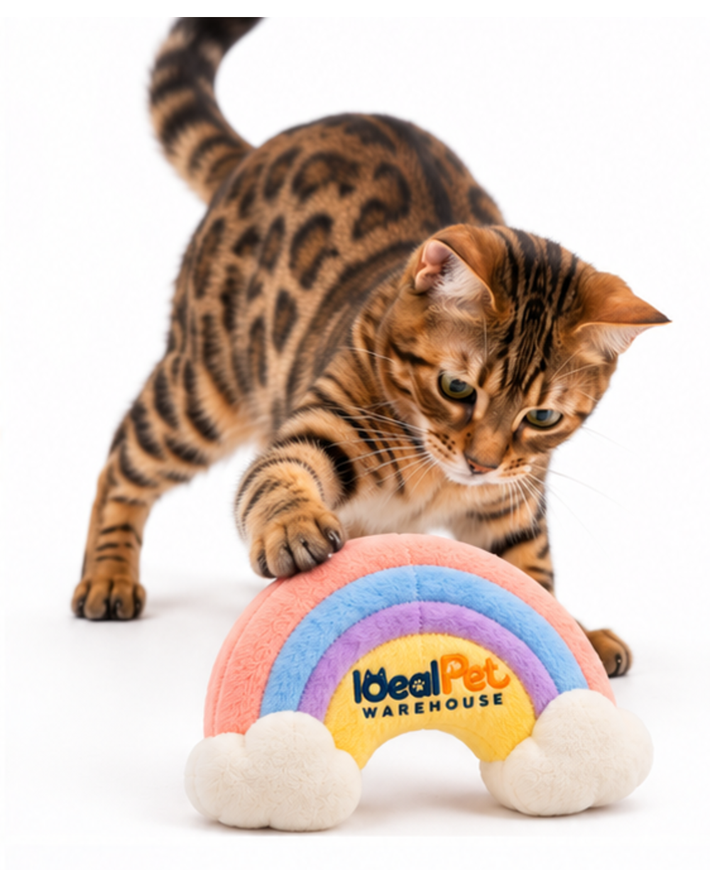 Bengal cat pawing the pastel rainbow crinkle plush toy