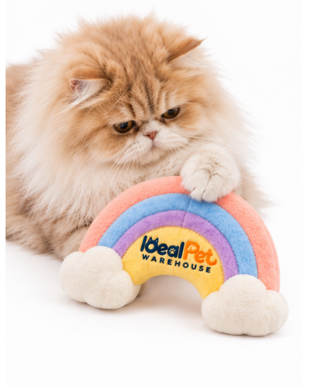 Persian cat resting a paw on the pastel rainbow crinkle plush toy