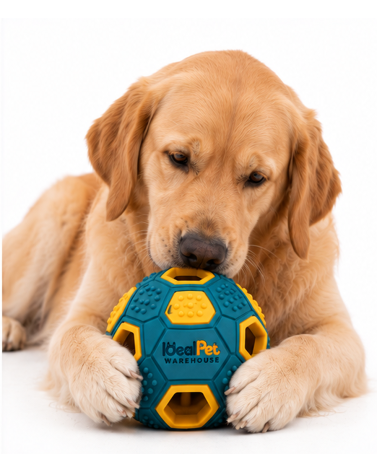 Golden retriever playing with a blue ball in a living room